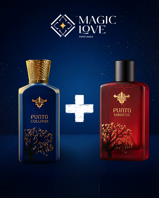 PUNTO COLLECTION 02