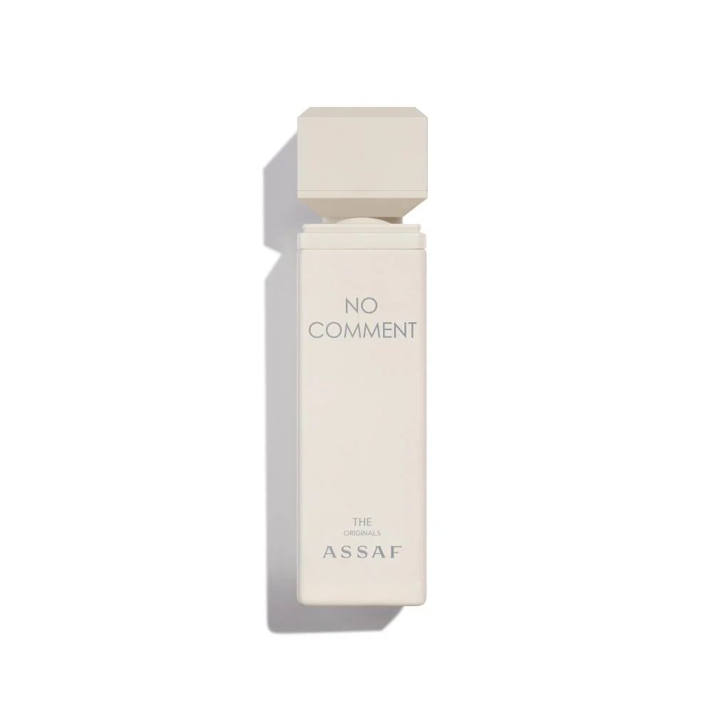NO COMMENT 100ML