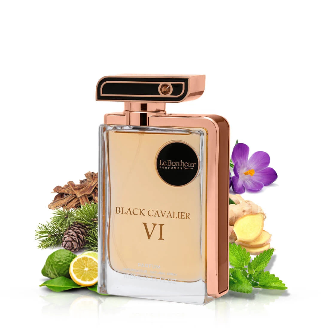 BLACK CAVALIER VI - 100ML